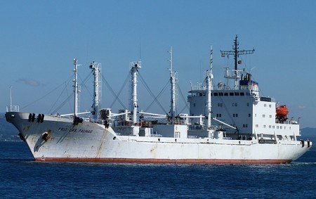 «Петр Ильичев» доставил в российский порт жертв кораблекрушения