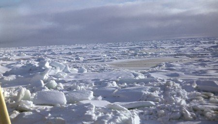 Украинские чиновники категорически отрицают обвинения в незаконном задержании судов в «Южном»