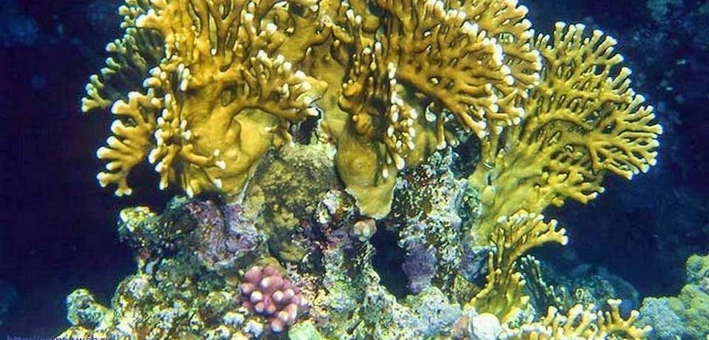 В Рижском порту задержали контрабанду на 33,5 тысячи долларов