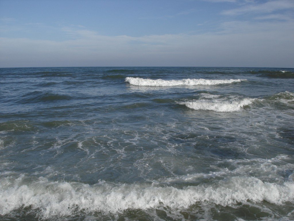 Правда о международном конфликте: виновны не стрелявшие пограничники, а погибшие моряки