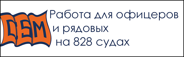 Половина груза ро-ро судна сгорела в пожаре