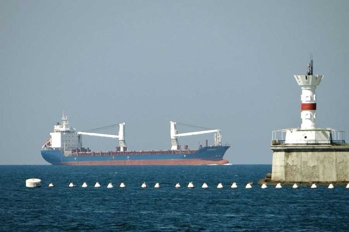 Суда под флагом РФ и суда-нарушители не смогут заходить в территориальные воды Украины