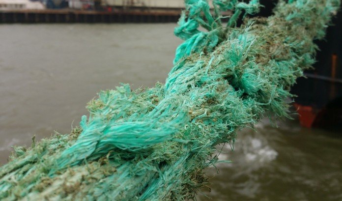 В США из-за убившегося швартового конца погибли люди