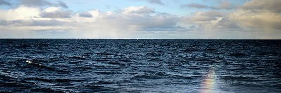 Моряки посреди рейса затопили румпельное отделение