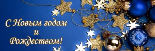 Поздравляем с Новым 2019 годом Вас, дорогие читатели!
