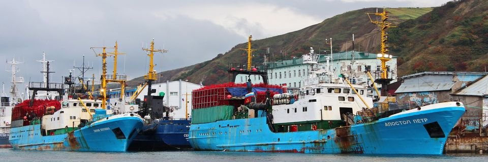 Российскому порту приказано остановиться на полтора месяца