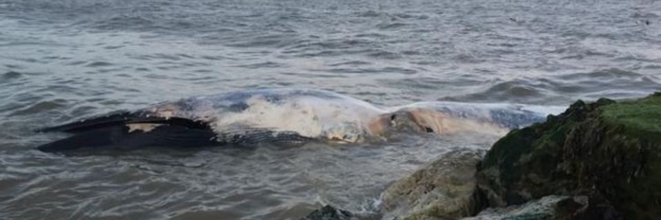 Судно, захваченное неизвестными, штурмовал спецназ