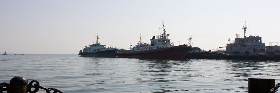 В Украине озвучили статистику судов-нарушителей в Крыму