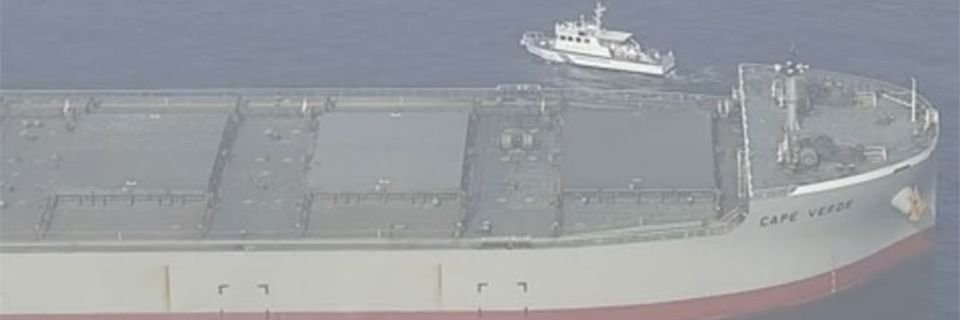 В Японии торговое судно протаранило лодку с людьми