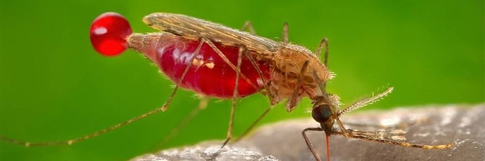 На проблемных российских судах уже начали умирать люди