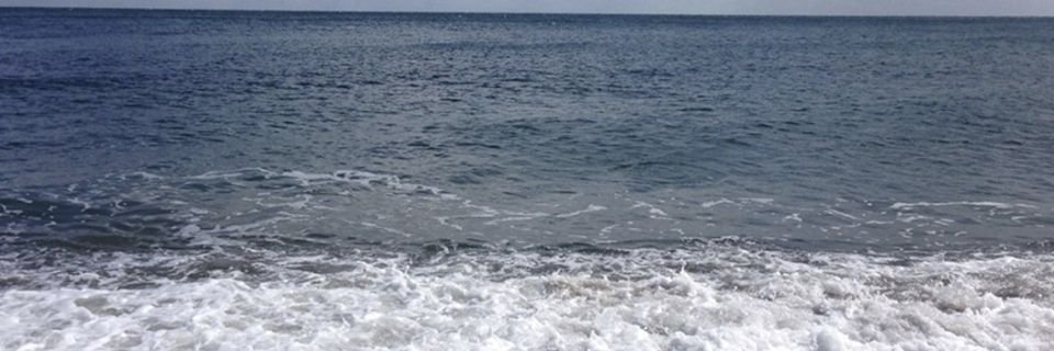 Упавший за борт матрос поймал спасательный круг, но выжить не смог