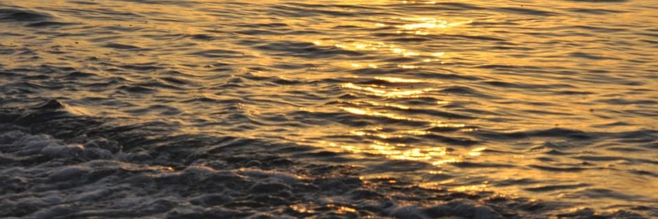 Спасательные круги не спасли жизнь упавшему за борт мужчине