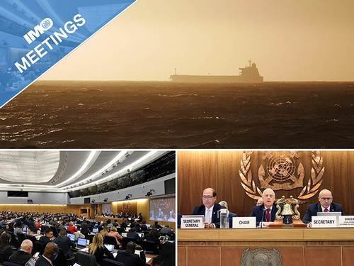 IMO начинает ожесточенную борьбу с субстандартными судовыми регистрами