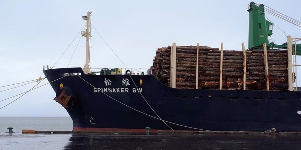 Капитан балкера поплатится за то, что недоглядел экипаж