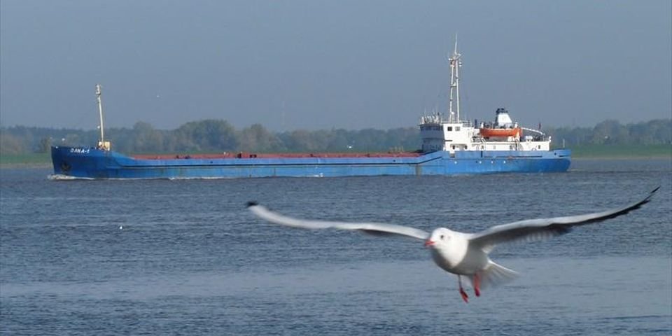 Забастовка экипажа и многочисленные нарушения: Италия арестовала судно