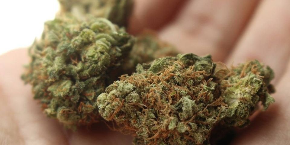 Полгода моряки употребляли наркотики на рабочем месте