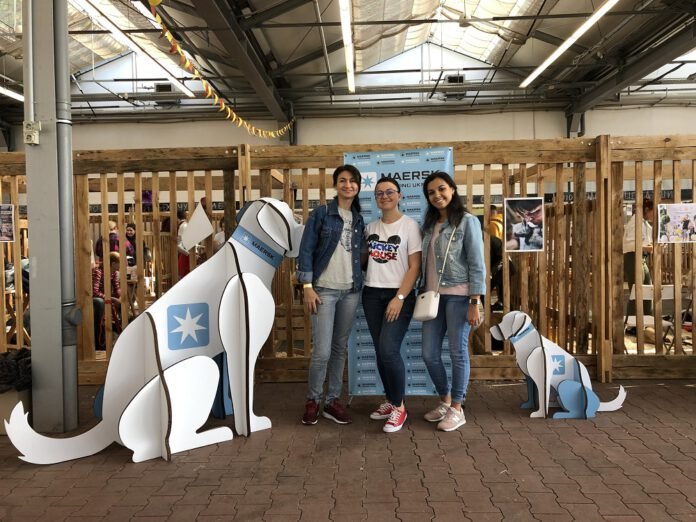 Компания Maersk Crewing Ukraine: «Не достаточно просто знать о проблеме, необходимо действовать»