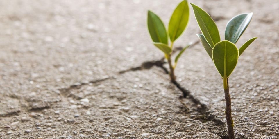 Последние 2,5 года его и нашей жизни — один АД на двоих, — семья моряка