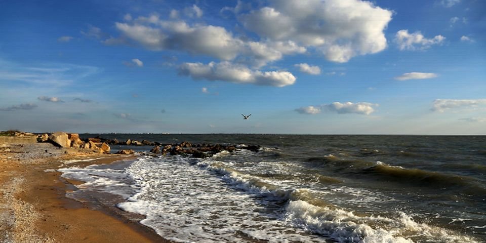 Проблемы у моряков есть, только их некому решать