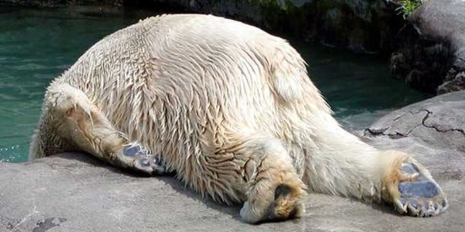 Знают ли моряки, когда стоит, а когда нет пить алкоголь?