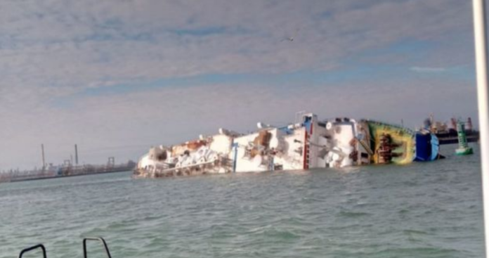 В Черном море опрокинулось и затонуло судно, перевозившее 14 тысяч овец