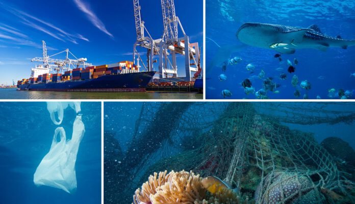 IMO и FAO запустили глобальный проект по борьбе с засорением мирового океана пластиком