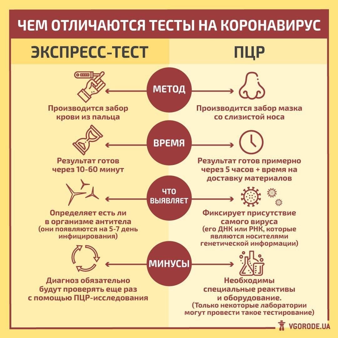 Смены реальны, но и тесты на COVID-19 обязательны: какой тест сдавать моряку?