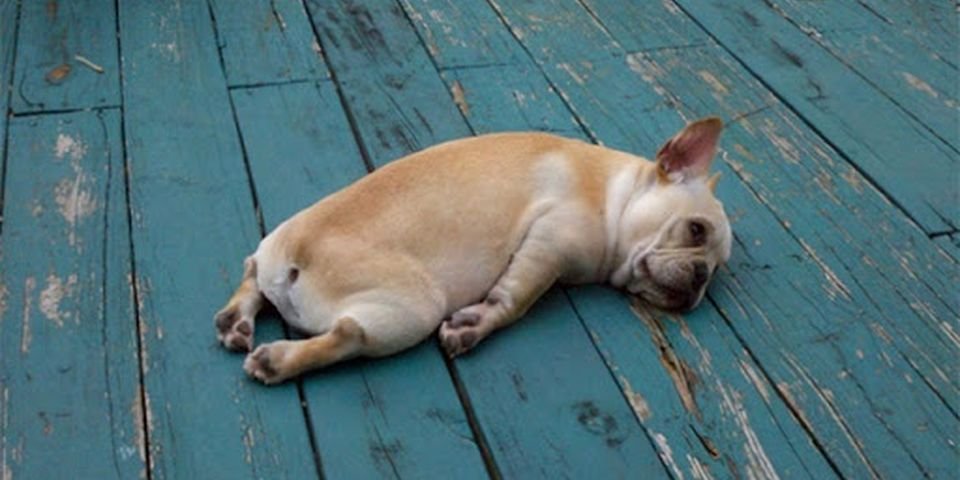 На судах из-за усталости моряков назревает реальная угроза морского инцидента