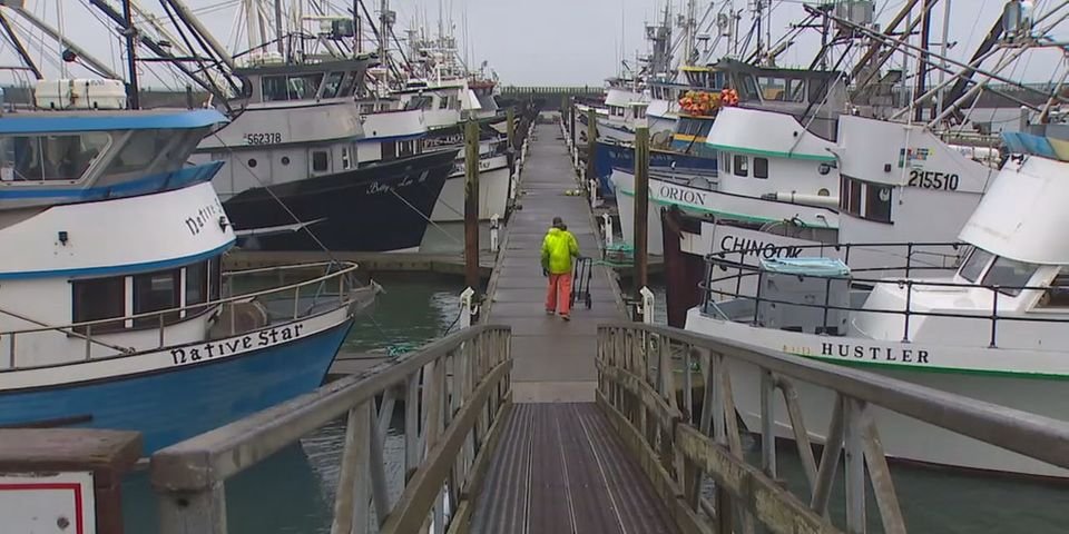 На судно садились здоровые моряки, а в рейсе практически у всех — COVID-19