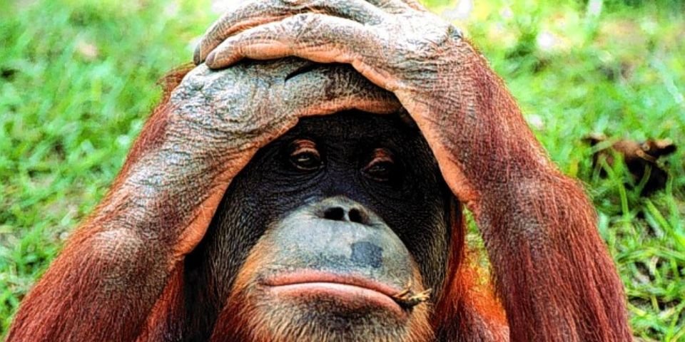 Больше 11 месяцев на судне — это уже преступление в отношении моряка