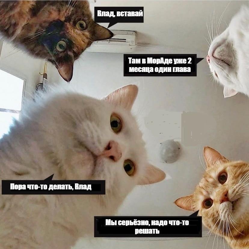 Новые-старые, но такие проверенные: как выбирают руководство МорАда?