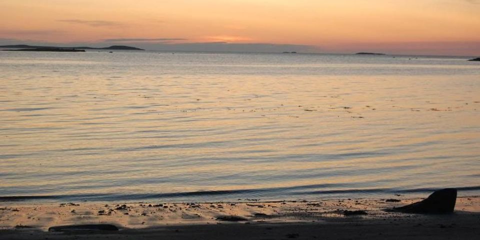 Судовладельцы тянут до 11-месячного «лимита» или нарушают его