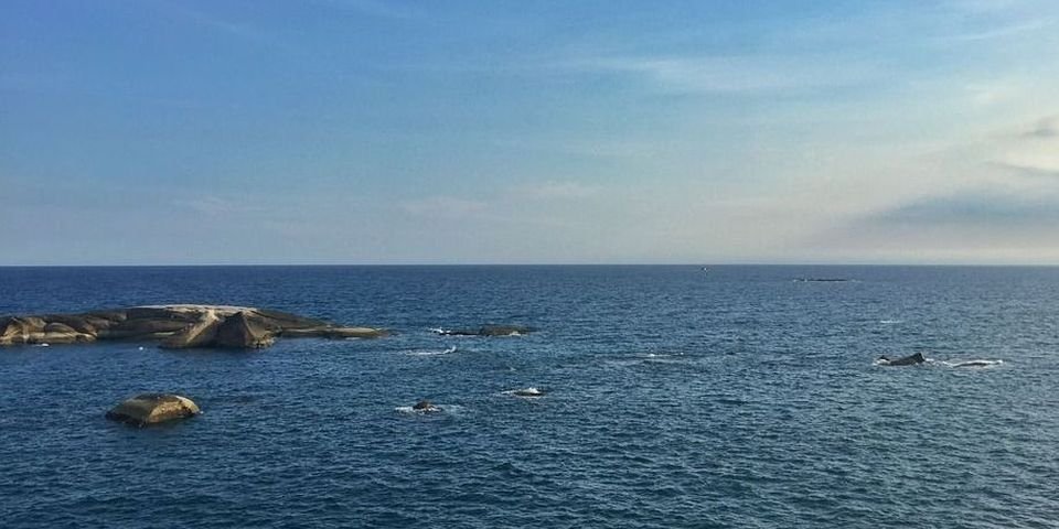 С затонувшего судна пропало 5 моряков