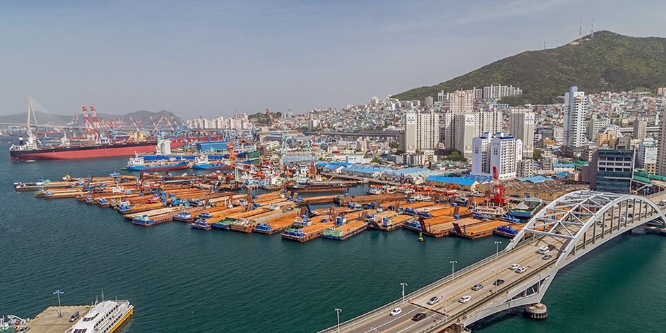 Тест моряки должны делать не дома, а в стране посадки на судно