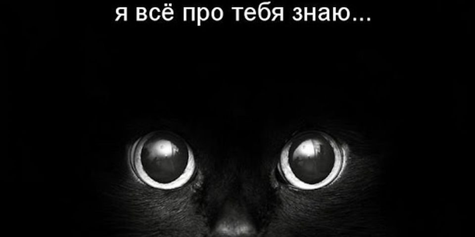 «Старая мафия» давит на молодую власть, чтобы не потерять деньги моряков