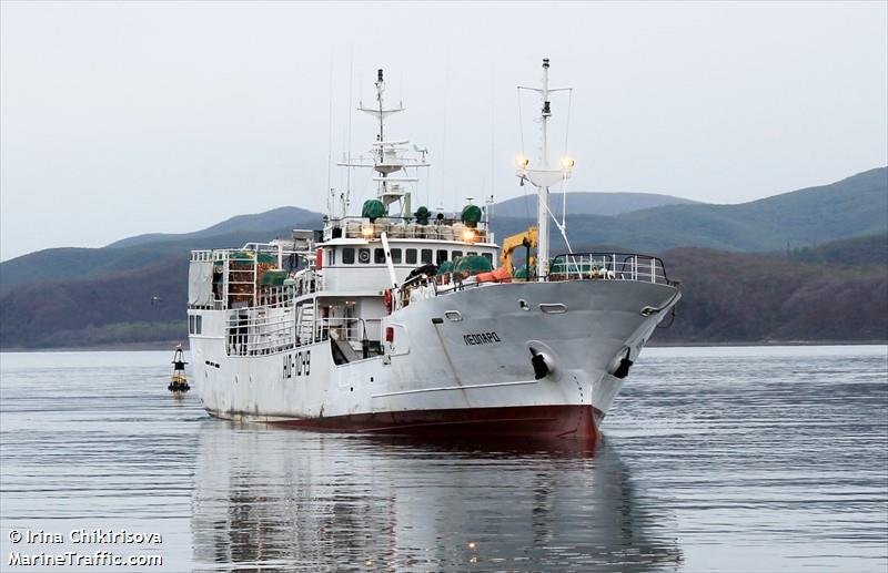 Моряка снесло с судна за борт (ВИДЕО)