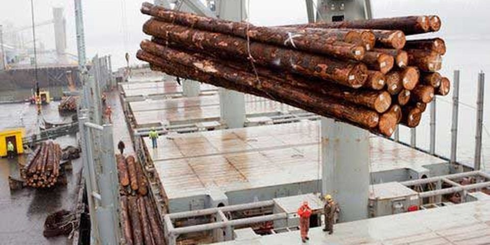 Моряк работал за докера и поплатился жизнью