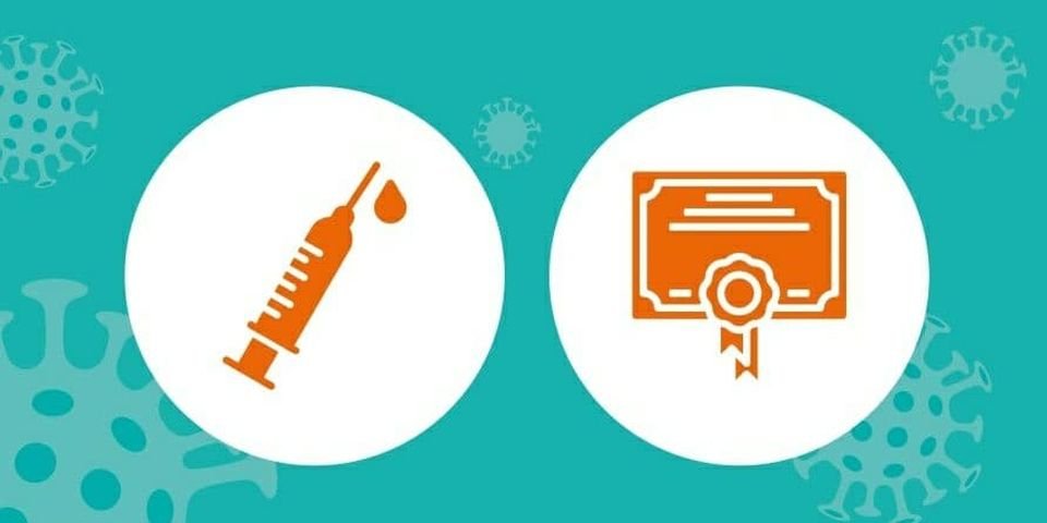 Отказ от вакцинации — правильный или нет выбор делает моряк?