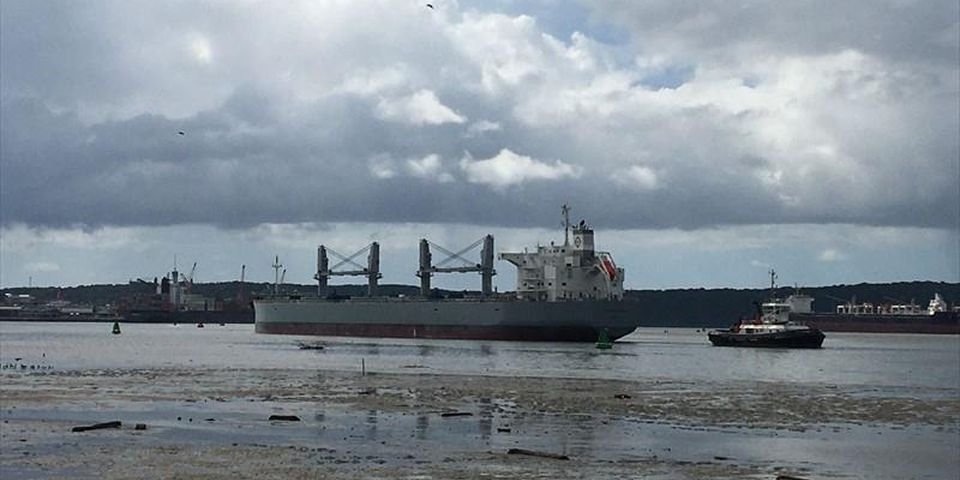 Ничего подобного даже в пик пандемии не было: моряки массово болеют и умирают