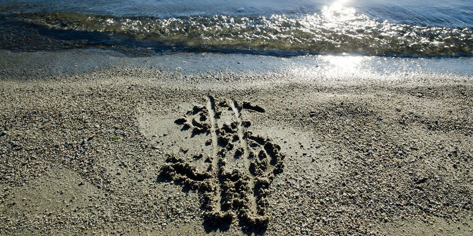 Если не повысить зарплату — дефицит комсостава в торговом флоте будет колоссальным