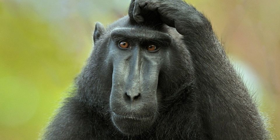 Театр абсурда продолжается: глава МорАда в стране — важнее президента