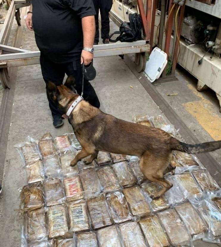 На иностранном судне в украинском порту нашли «золотой» контейнер