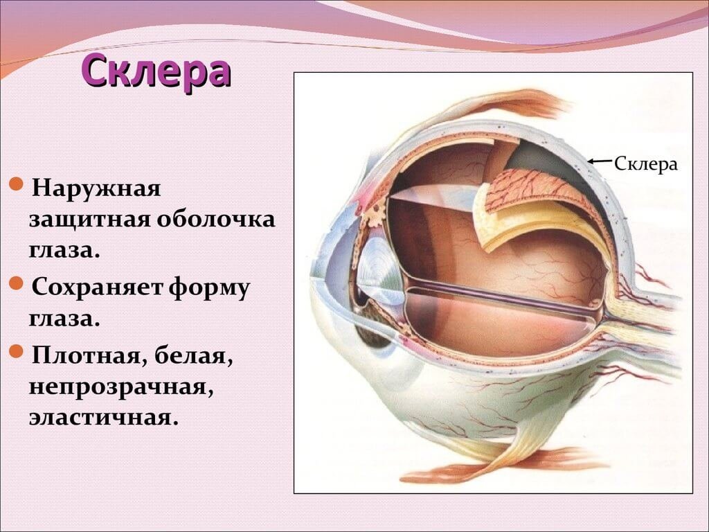 Осколок меньше миллиметра лишил украинского моряка возможности работать