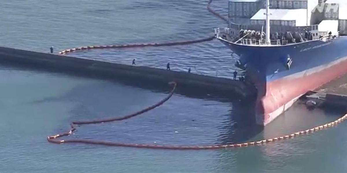 Панамское судно протаранило волнорез: капитан не справился с управлением (ВИДЕО)