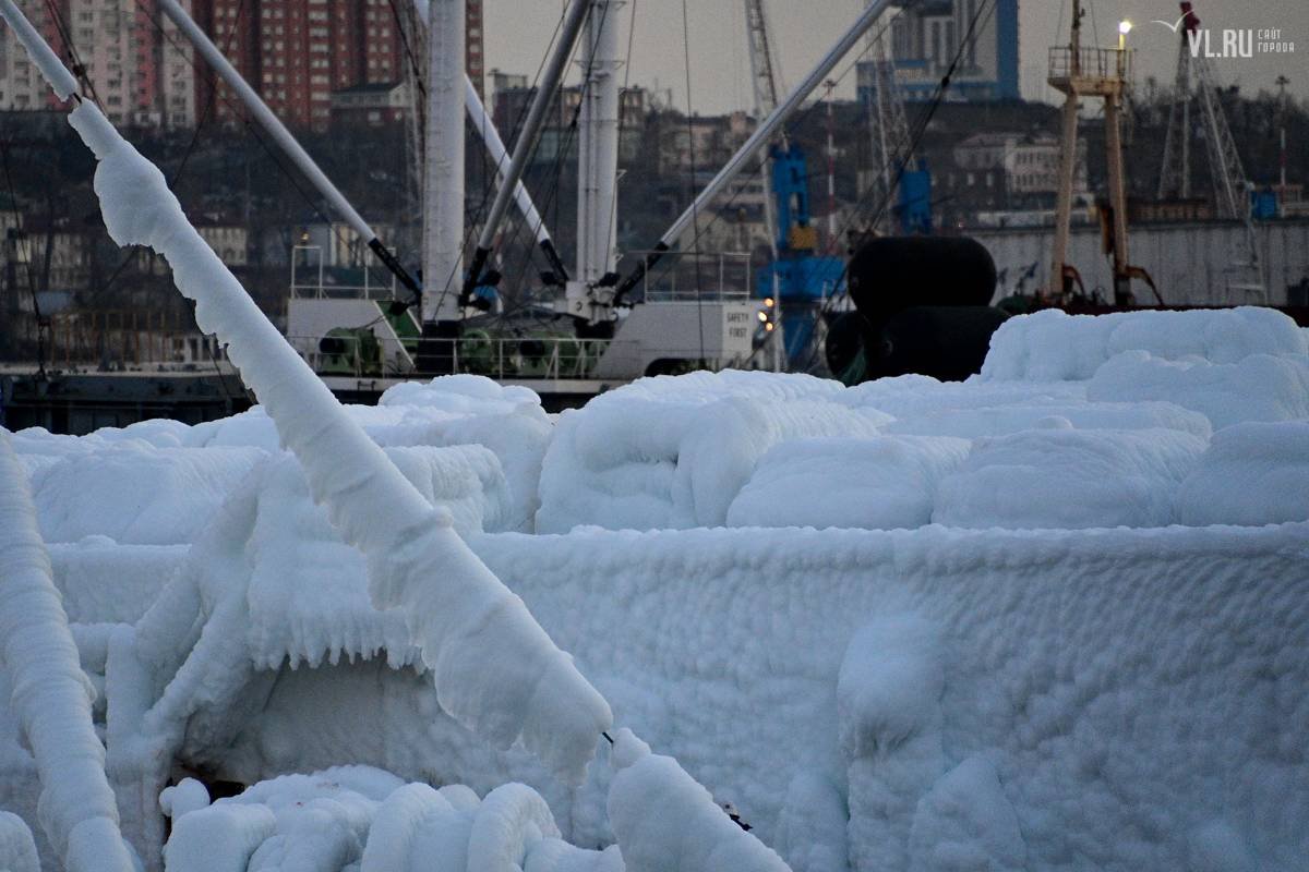 В порт назначения судно доставило свежемороженые автомобили