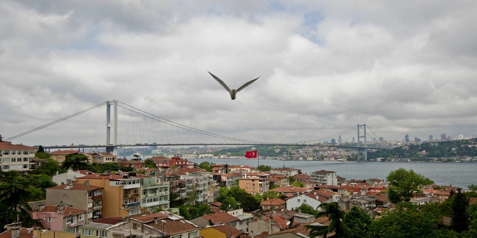 В проливе Босфор остановилось движение судов