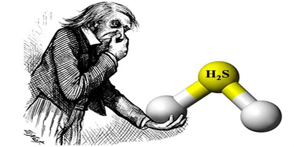 Запах тухлых яиц при плановой перекачке льяльных вод едва не привёл к трагедии на борту