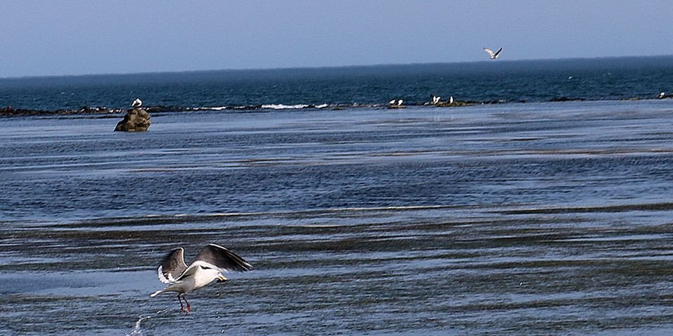 ДАЙДЖЕСТ МОРСКИХ НОВОСТЕЙ ОТ SJ ЗА 21.02.2022